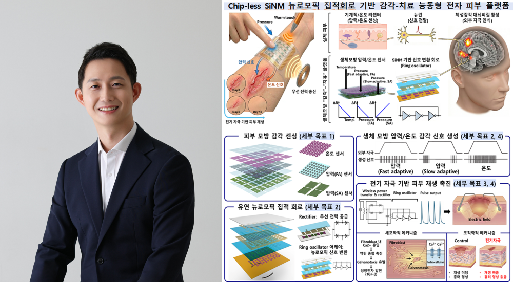 바이오메디컬공학부 강교원 교수, 한국연구재단 신진연구(유형 B) 선정 이미지